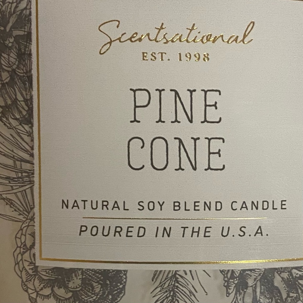SCENTSATIONAL 26 OZ JUMBO 3 WICK PINE CONE SCENTED CANDLE. HAND POURED IN USA - Picture 3 of 5
